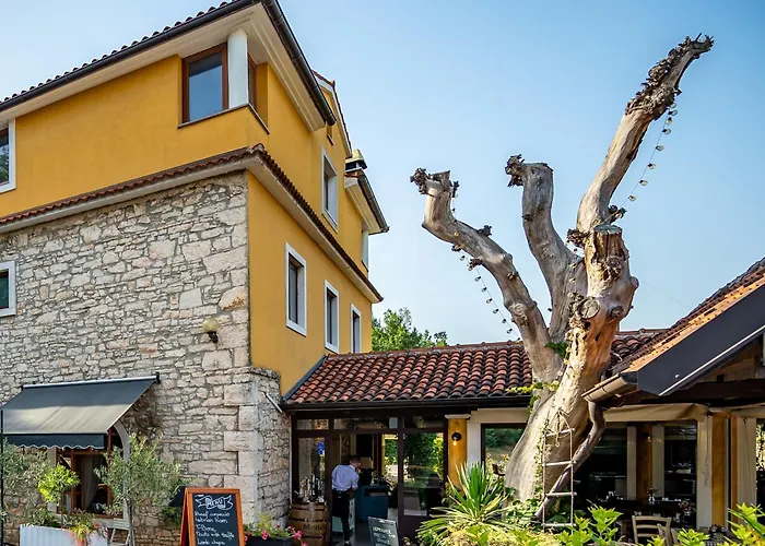 With Free Parking Póla