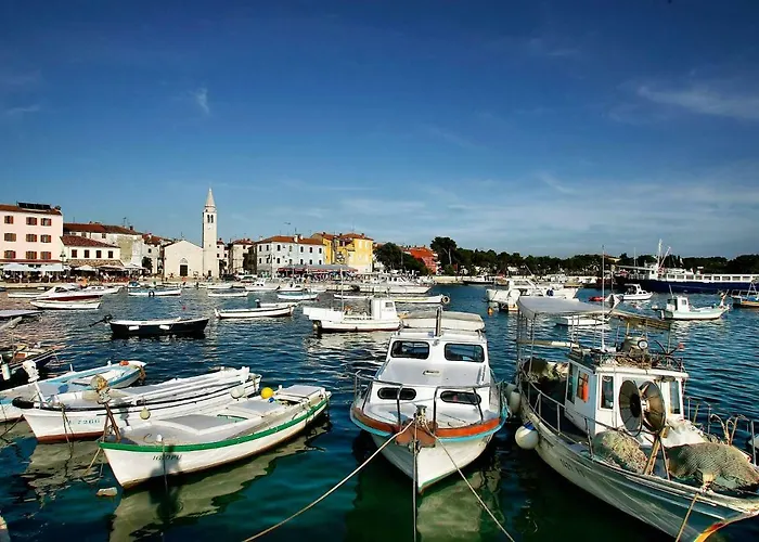 With Free Parking 풀라